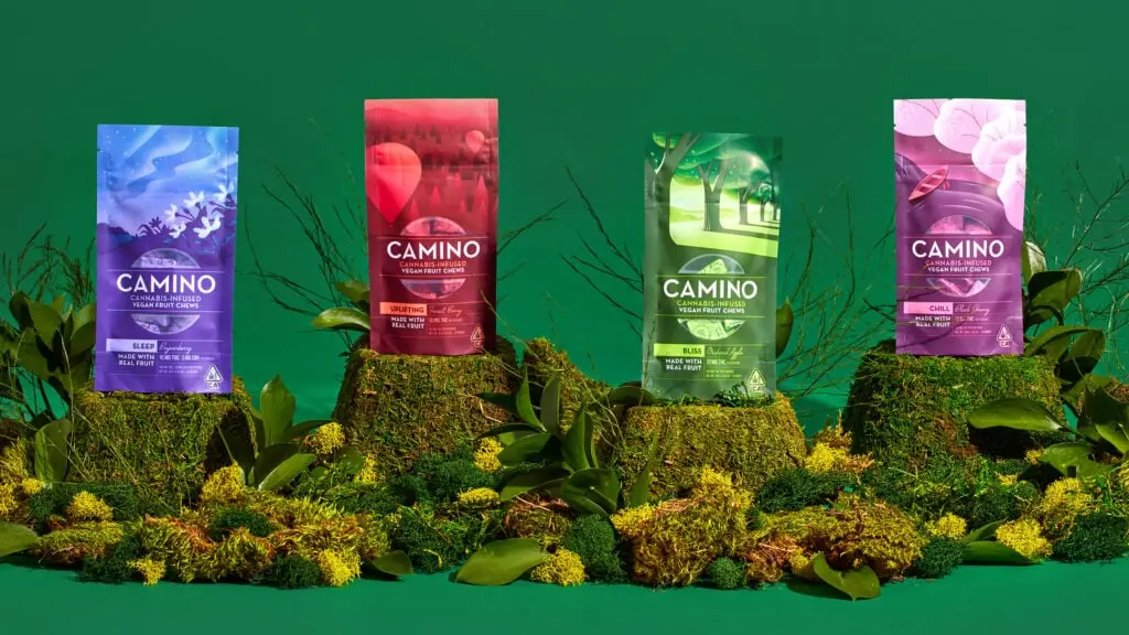 CaminoChews.CA .4SKU.Lifestyle Stylized NoFruit copy